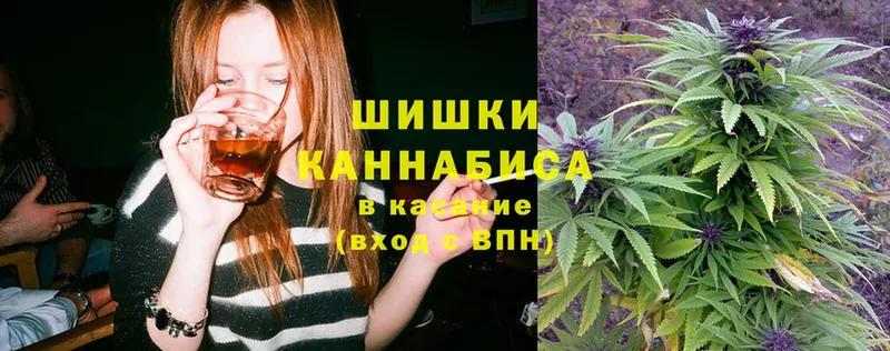 Шишки марихуана Amnesia  Катайск 